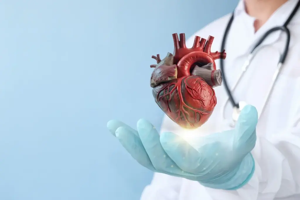 Robotic Heart Surgery: Best Efficient Timing