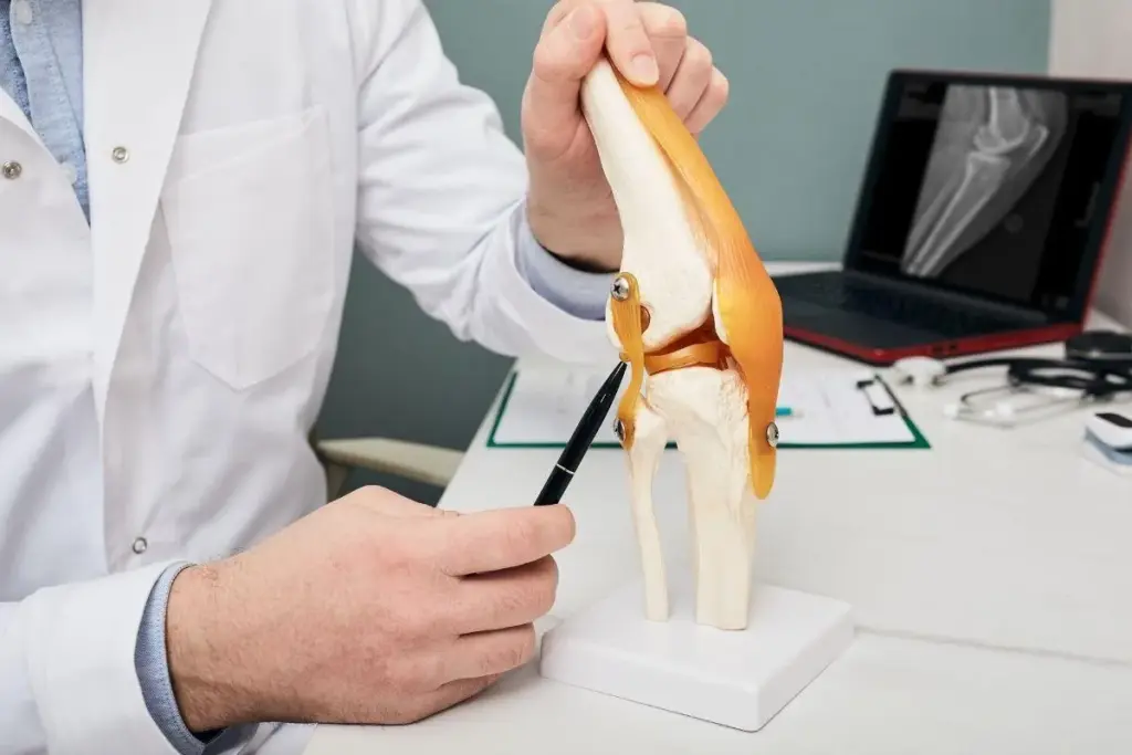 Tendons Tendons: Amazing Surgical Secrets 1 image 3 552 LIV Hospital