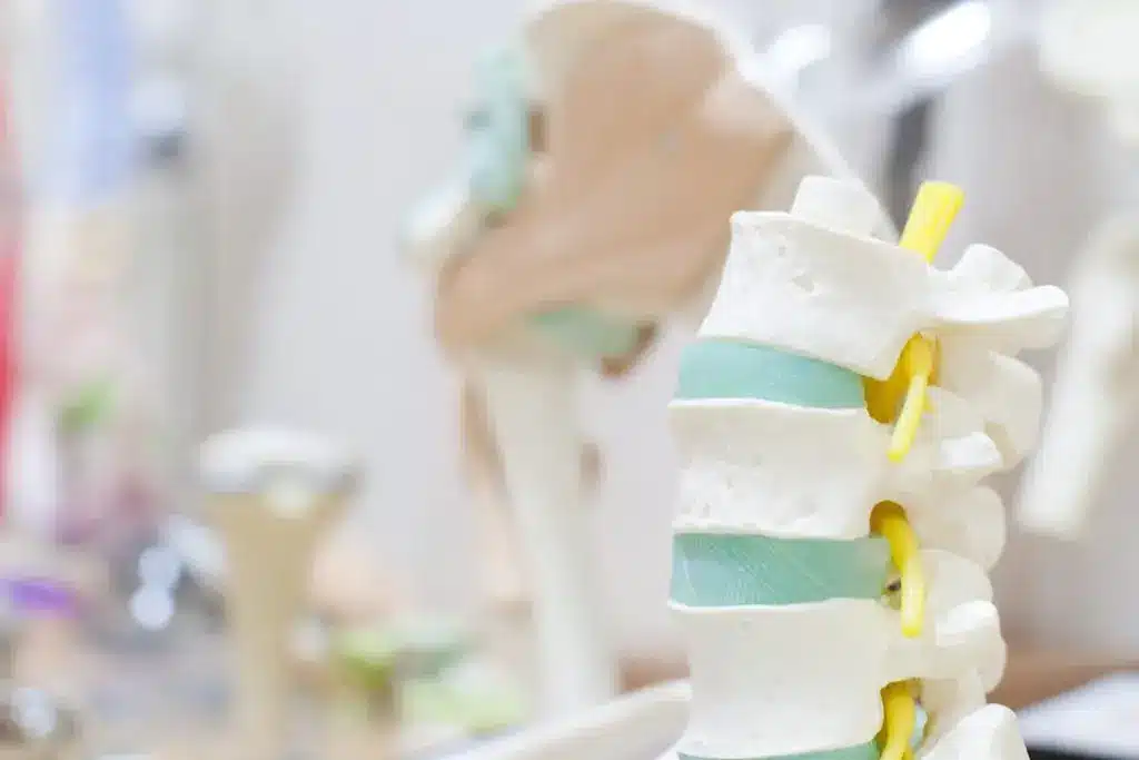 Thoracic Spinal Cord Injuries (T1-T12)