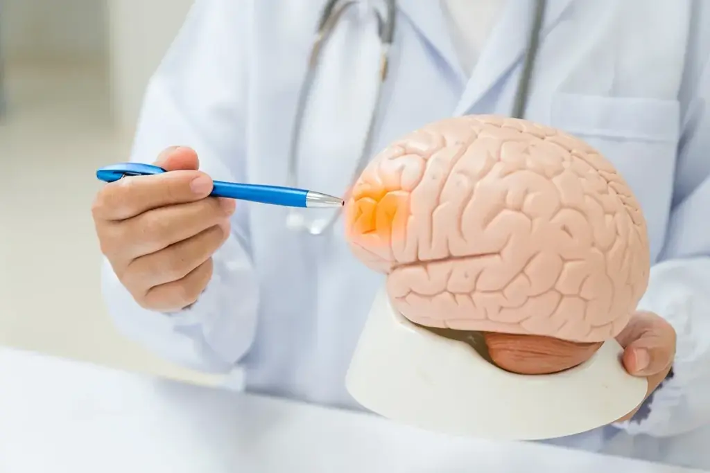 Understanding Hydrocephalus and Cerebrospinal Fluid