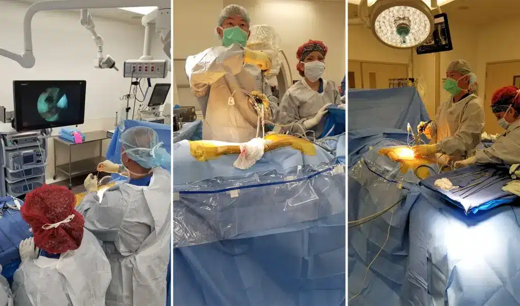 Age Limit for Spinal Surgery: Facts and Considerations