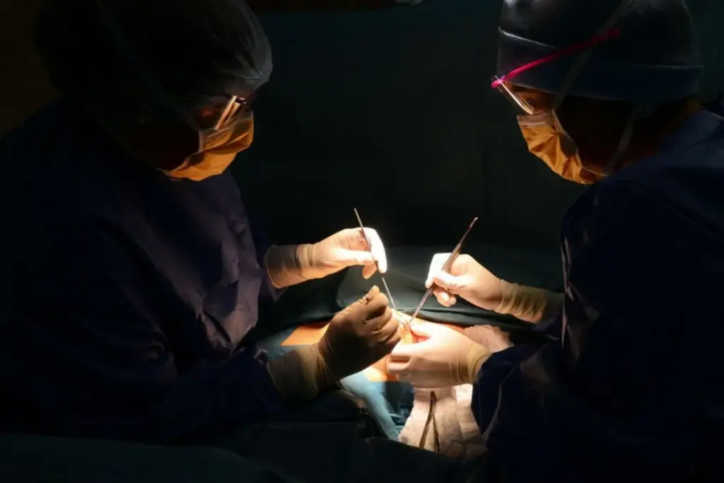 Can Brain Surgery Actually Cure Epilepsy?
