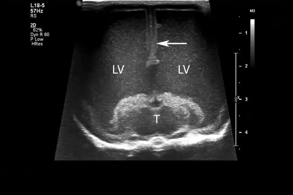 image 1 880 LIV Hospital