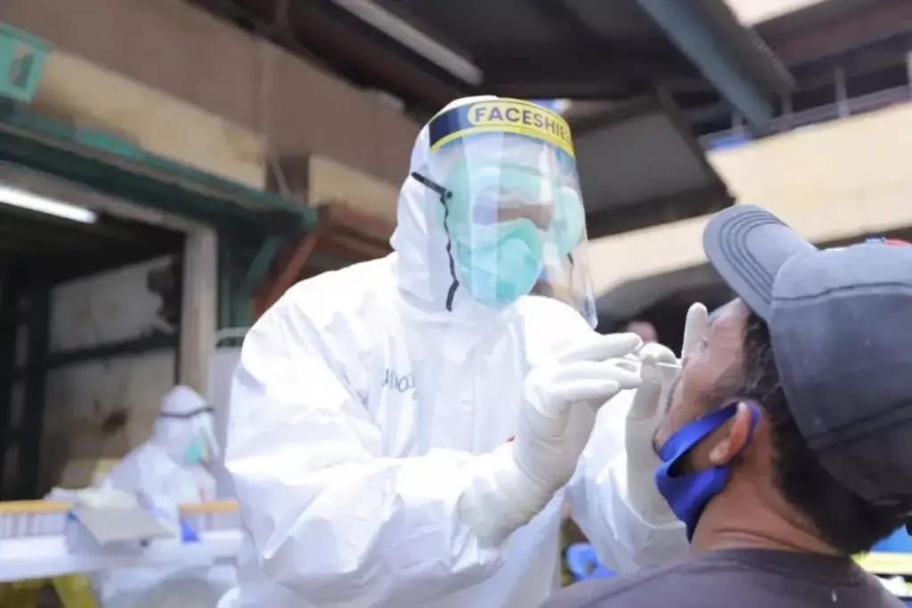 What Is Cerebrospinal Fluid and Its Function