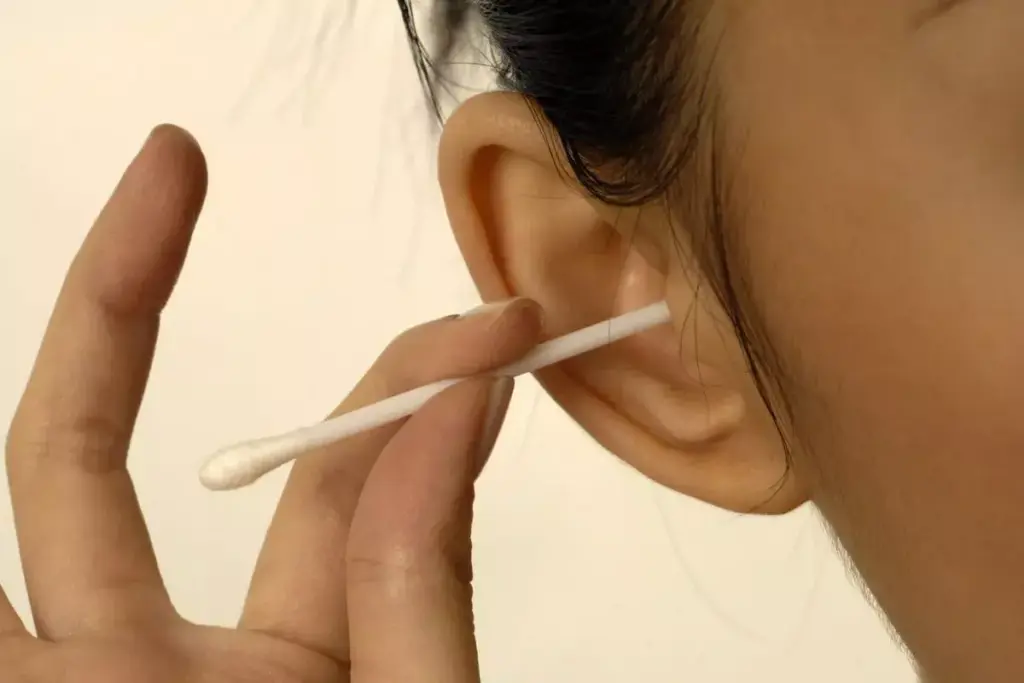 The Three Main Sections of the Ear