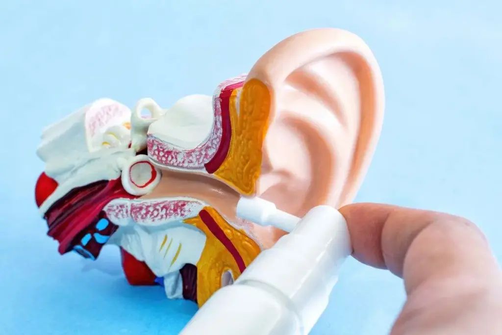 Dec 9401 image 2 LIV Hospital