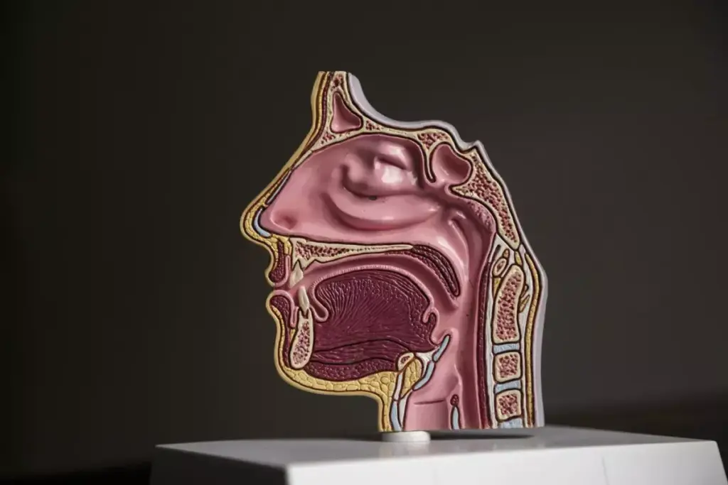 7 Salivary Gland Cancer Symptoms You Shouldn't Ignore