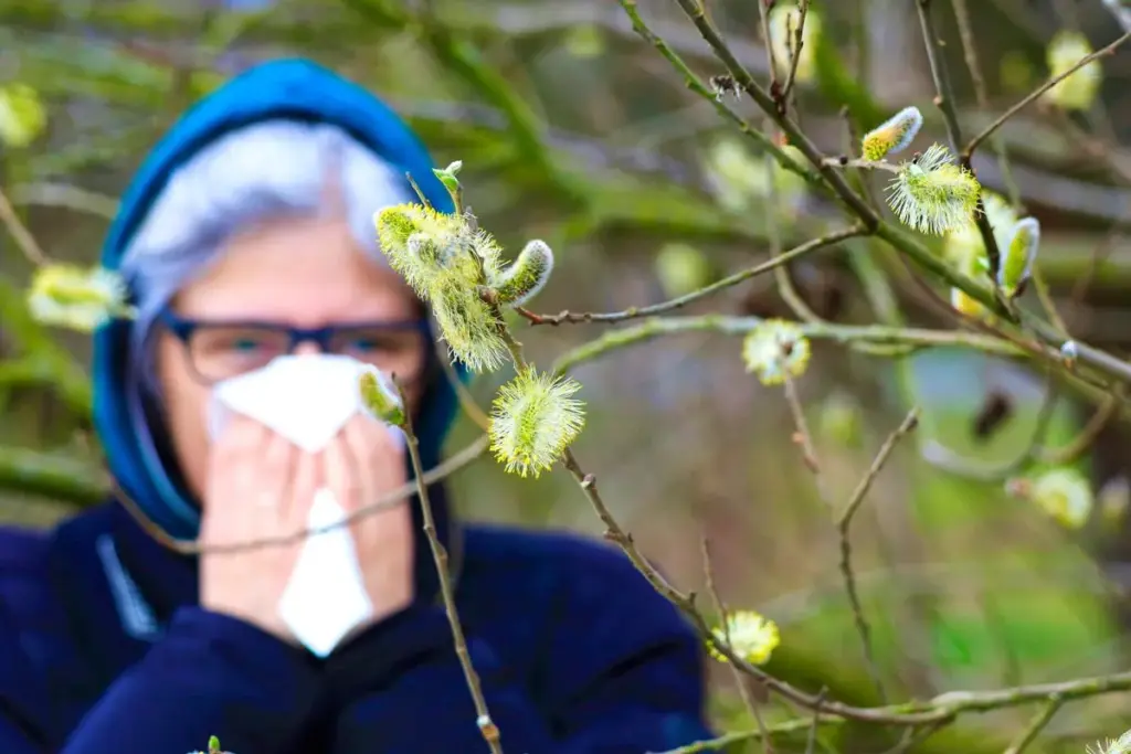 How to Treat Pollen Headaches: Quick Relief Guide