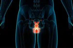 Pae: Essential Safe Driving Timeline