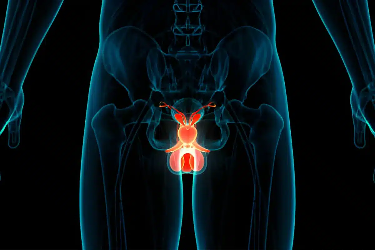 Pae: Essential Safe Driving Timeline