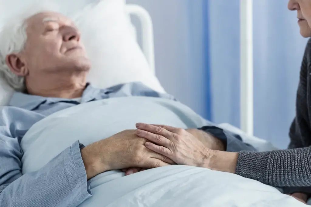 Palliative Care: Amazing Differences Explained 2 The Fundamental Principles of Supportive Care