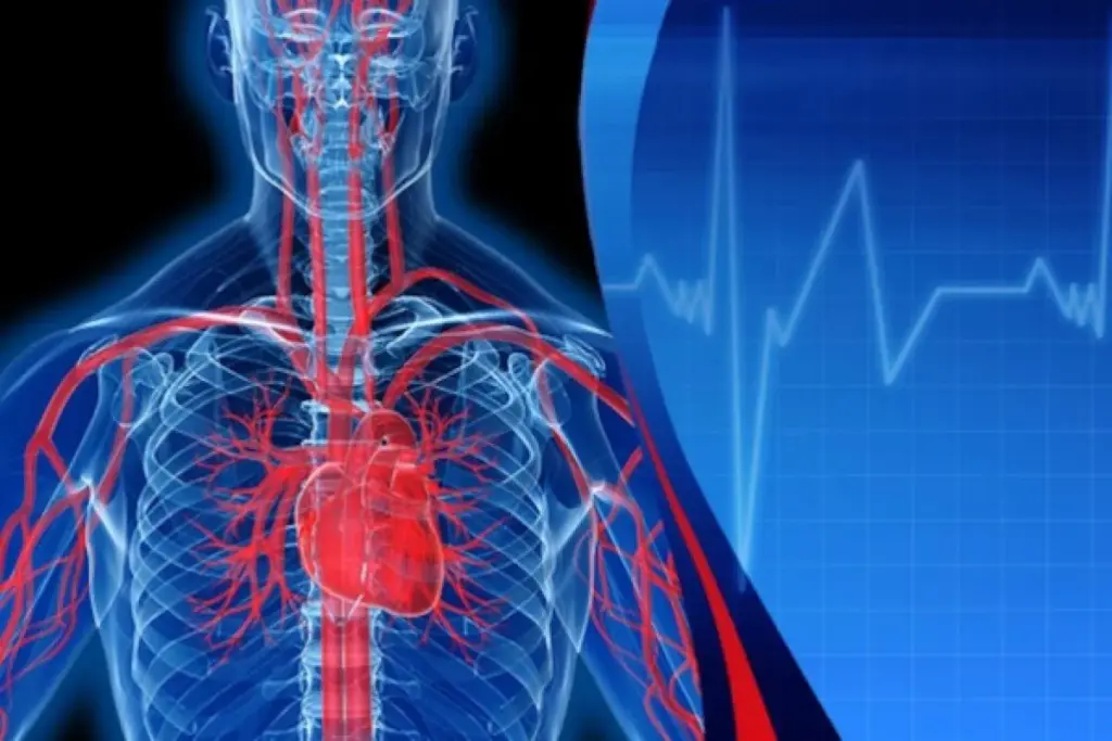 Heart: Vital Signs Of Sudden Muscle Change
