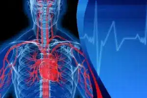 Heart: Vital Signs Of Sudden Muscle Change