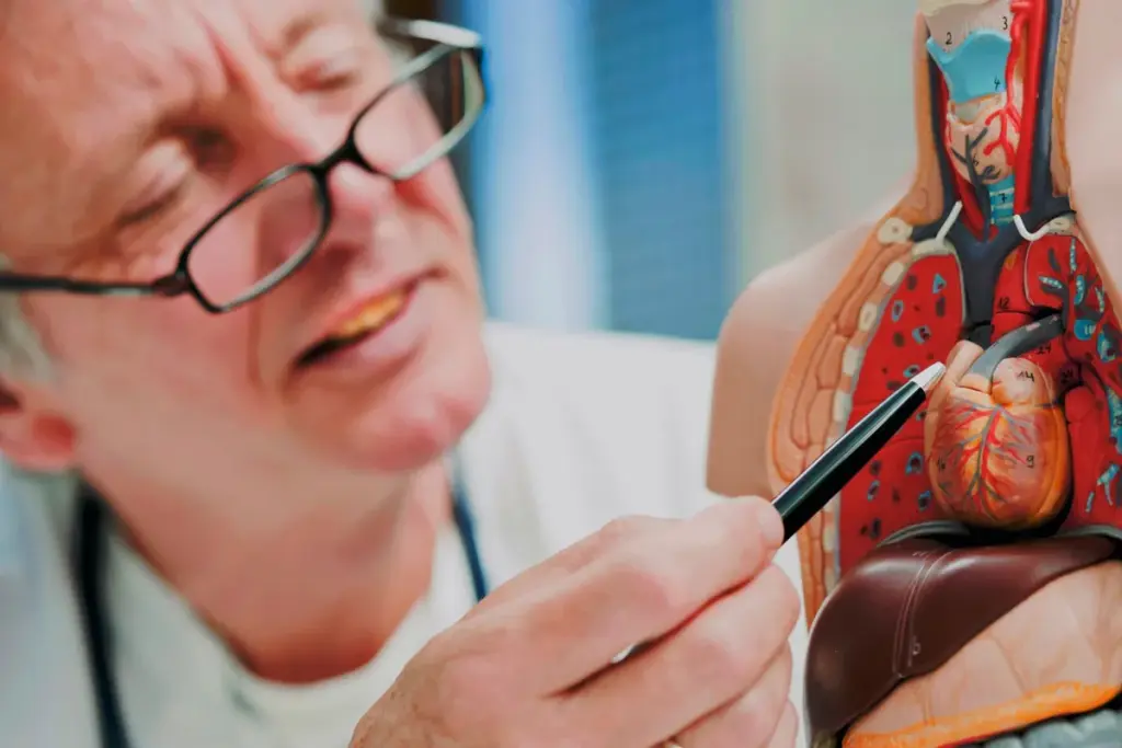 Heart Attack Symptoms: Vital Warning Signs 2 Understanding Heart Failure: A Growing Health Concern