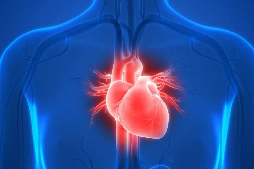 Heart Attack Symptoms: Vital Warning Signs 3 The Alarming Statistics: Heart Failure in America