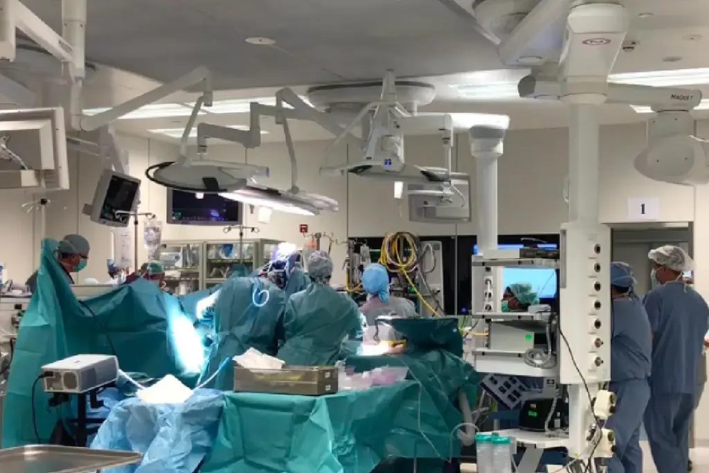 SEP 9144 image 4 LIV Hospital