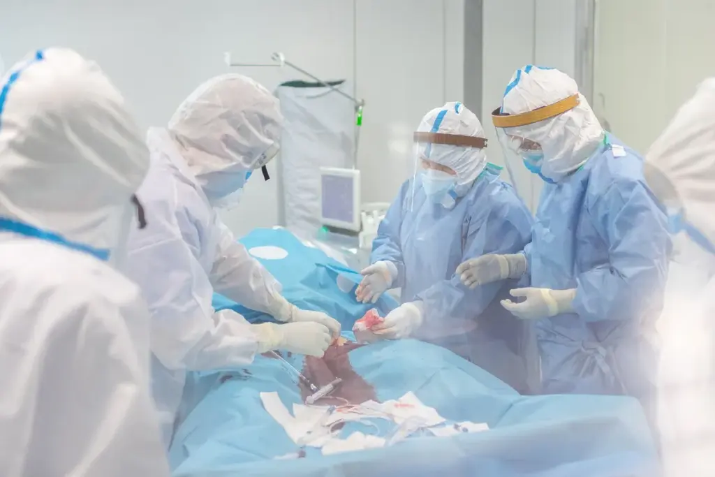 The Fundamentals of ECMO Therapy