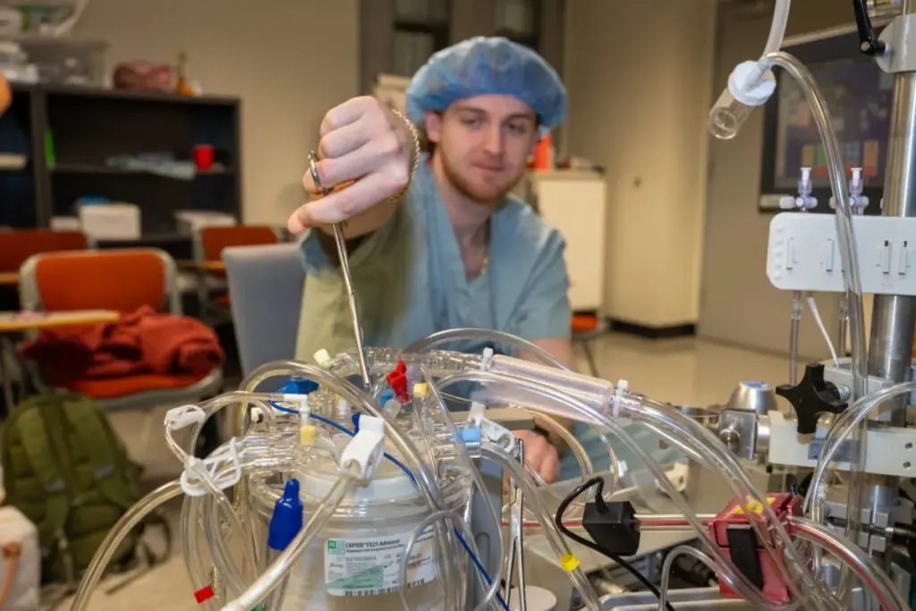 The Critical Role of Perfusion in Human Physiology