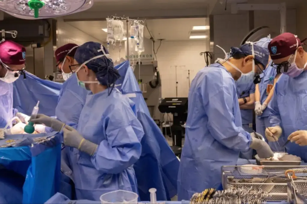 Kidney Transplant Waiting List By State: Best