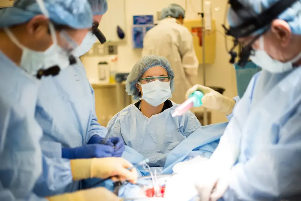 SEP 9622 image 2 LIV Hospital