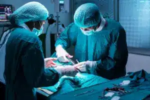 Surgical Oncology: Best Chemo Success Facts