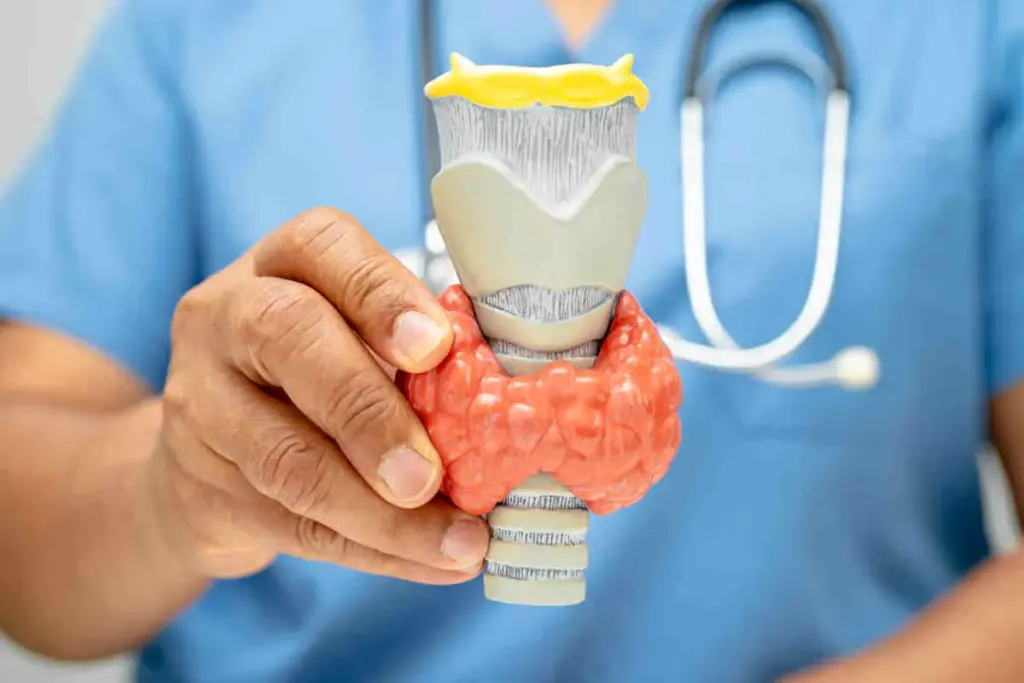 SEP 7280 image 1 LIV Hospital