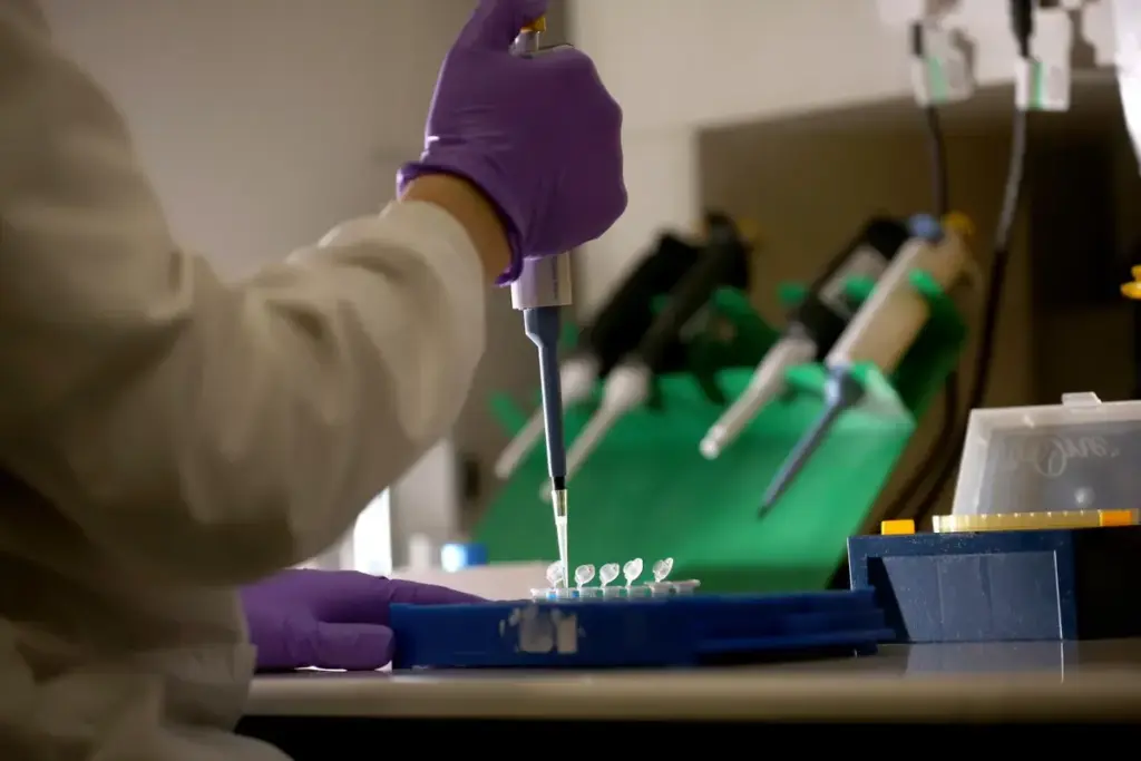 Understanding Biopsies in Cancer Diagnosis