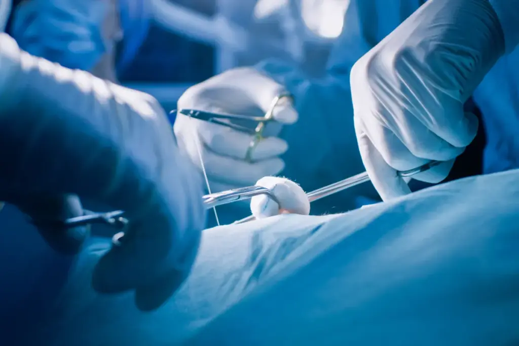 Hepatobiliary: Essential Meaning And Best Tips 1 Hepatobiliary: Essential Meaning And Best Tips