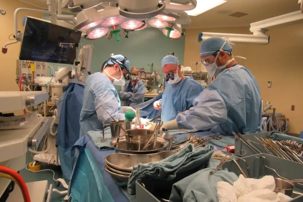 Was There A Age Limit? Best Essential Facts