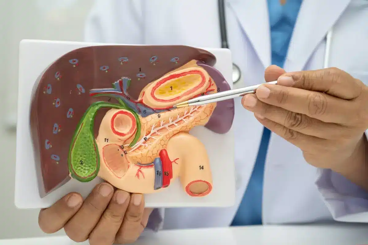 Bile Duct: Risky Blockages And Best Aid