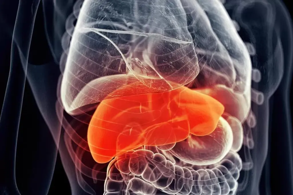 Common Hepatobiliary Conditions and Their Impact