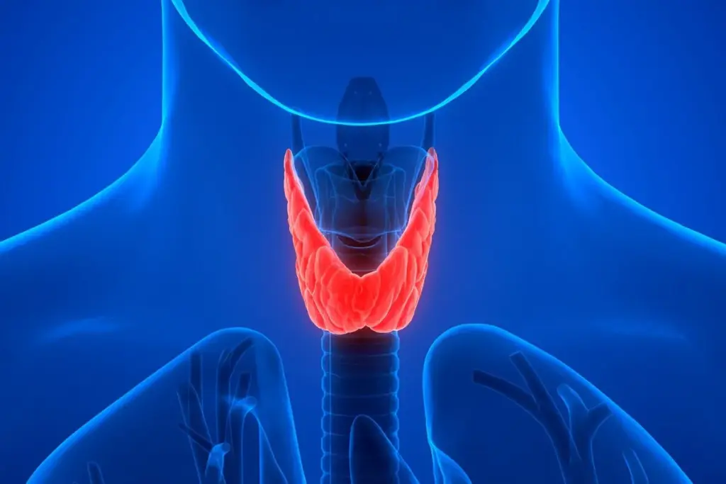 SEP 7317 image 3 LIV Hospital