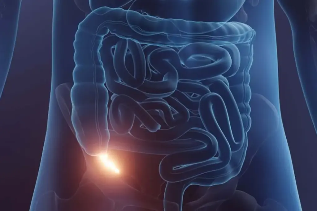 SEP 7370 image 2 LIV Hospital