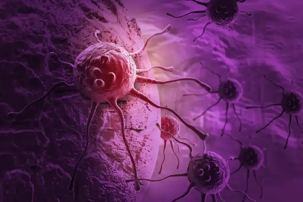 Understanding the Pancreas: Anatomy and Function