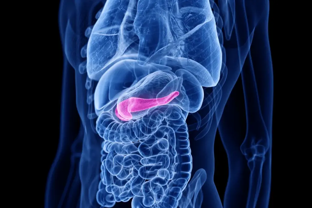 Pancreatic Cancer: A Silent Disease