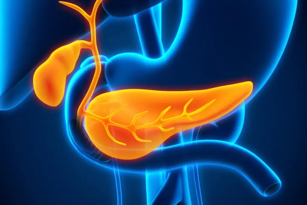 The Exact Location of Pancreas Pain