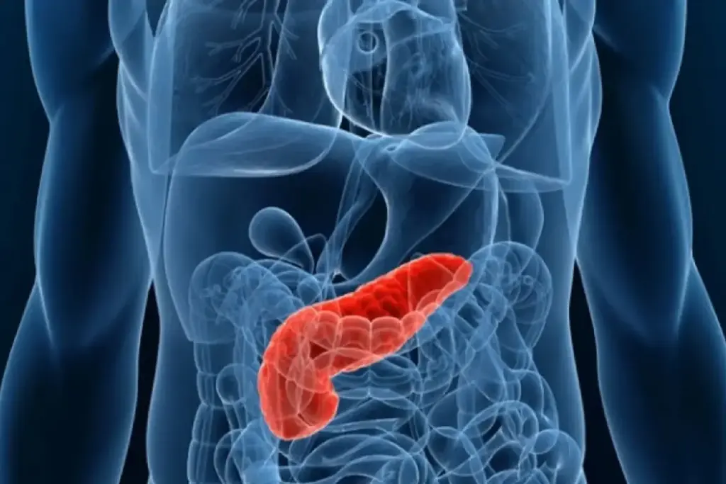 Abdominal Pain: Vital ER Timing And Red Flags