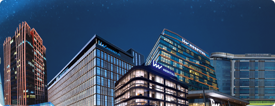 LIV Hospital - Mission