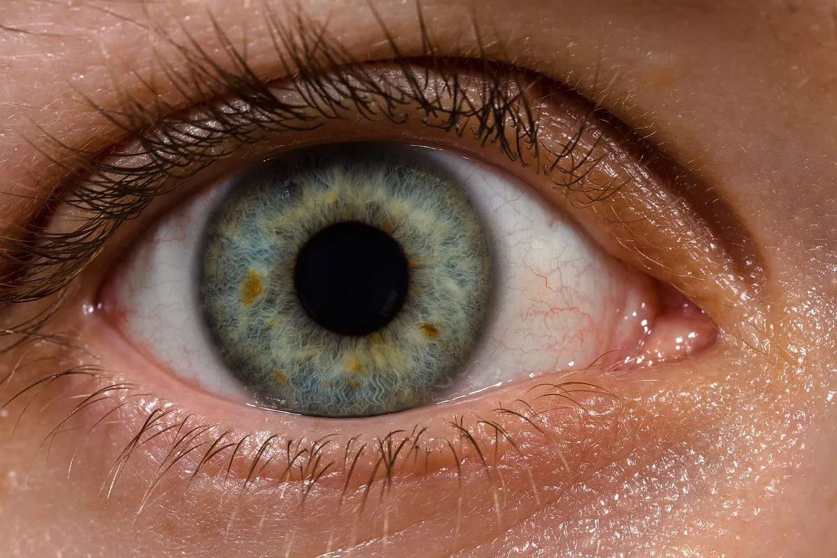 How to Tell if Your Vision Is Getting Worse: Recognizing Signs of Unhealthy Eyes