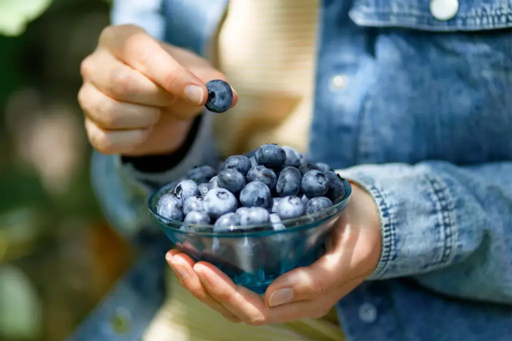Are Blueberries Good for Gout? What You Need to Know
