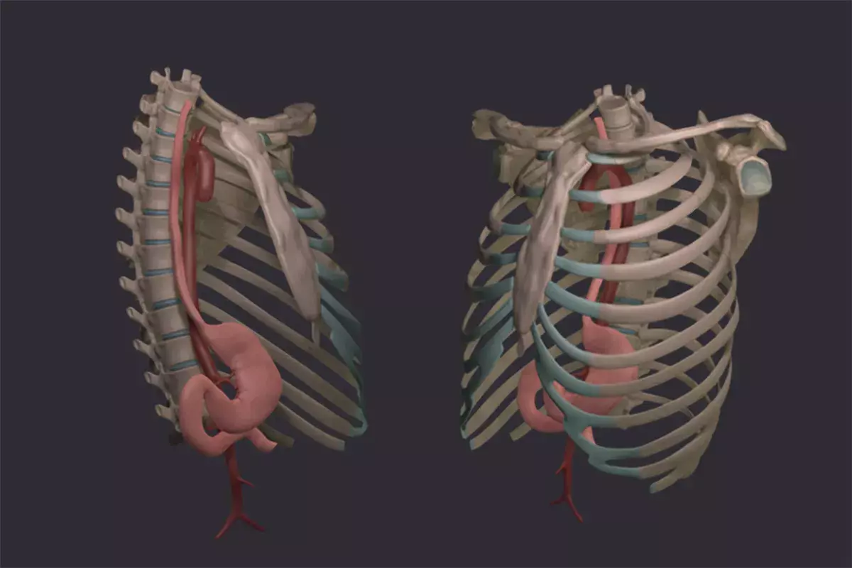 Why Do I Get Cramps in My Rib Cage?