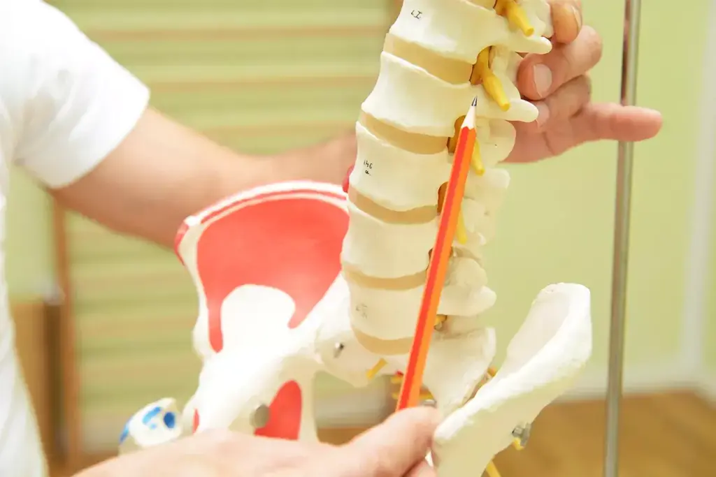 Function and Importance of Healthy SI Joints