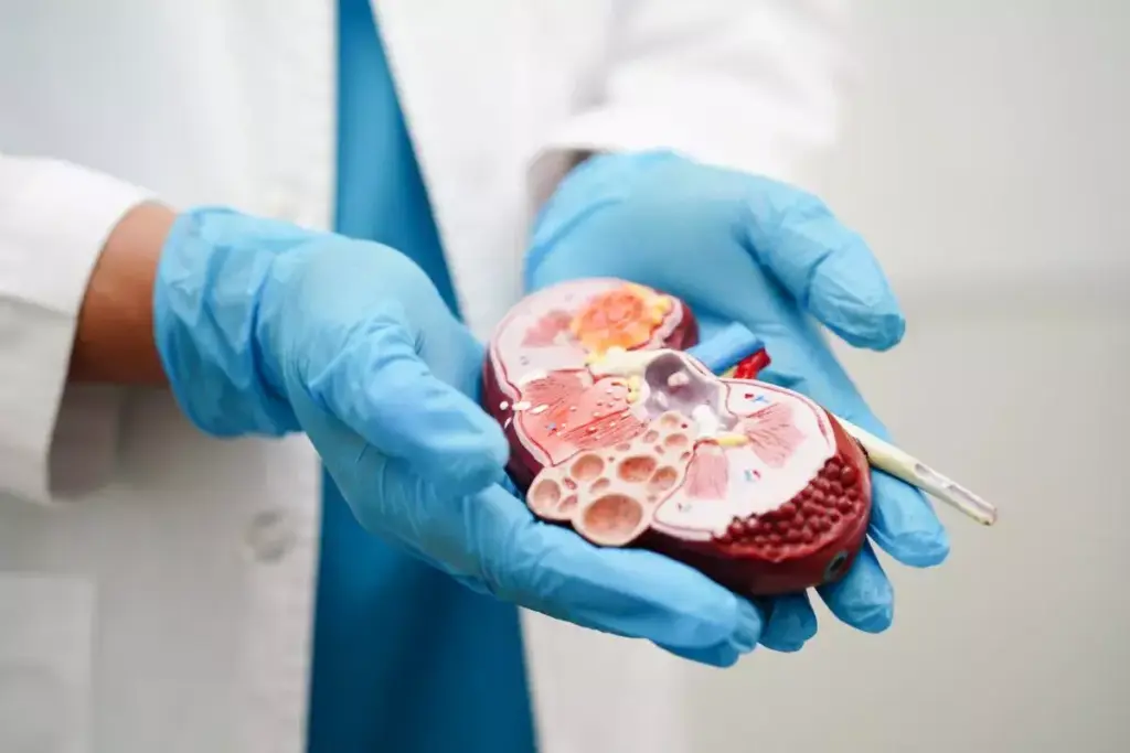 Complete List of Kidney Problems: Primary Categories