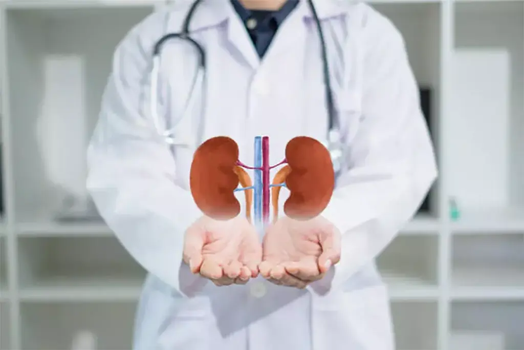 Understanding Kidney Glomerular Disease