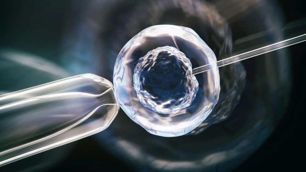 The Science and Significance of In Vitro Fertilization (IVF) 1 Infertility and Genetic Considerations