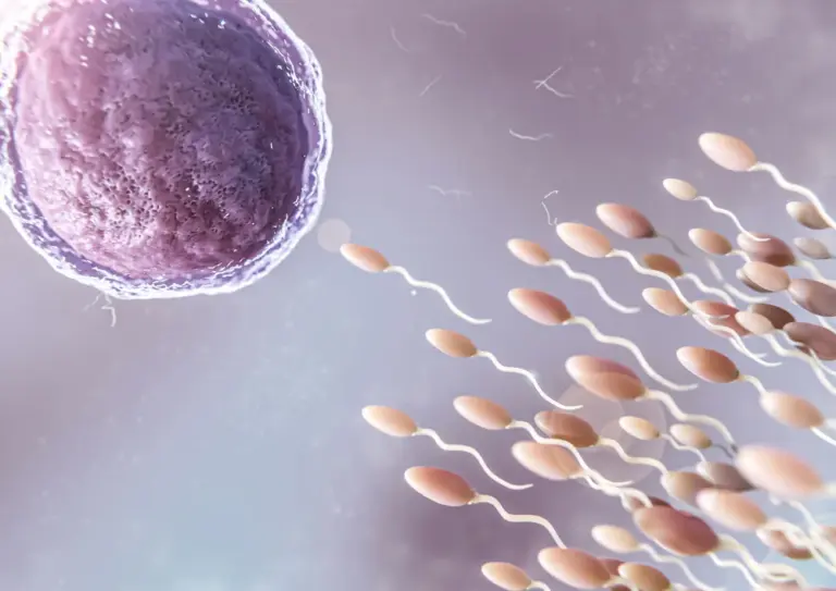 The Science and Significance of In Vitro Fertilization (IVF)