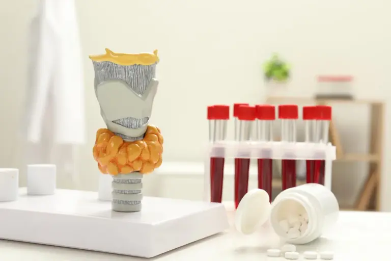 The Endocrine System and Metabolic Health