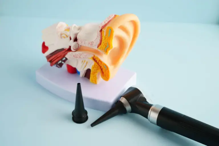 The Anatomy and Function of the Ear, Nose, and Throat (ENT)