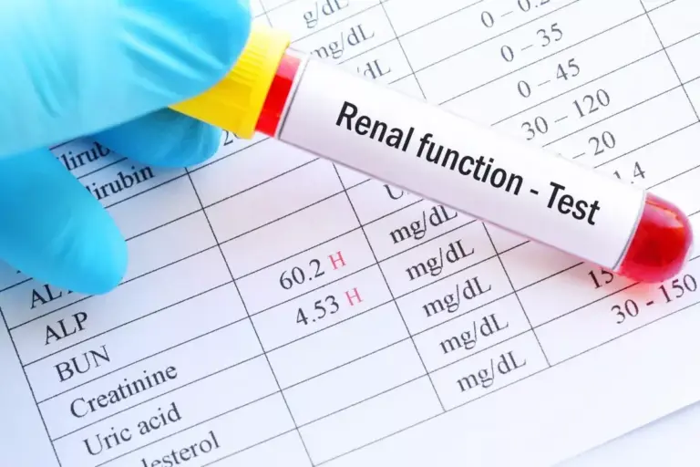 What is a Renal Function Panel and Why Do You Need It?