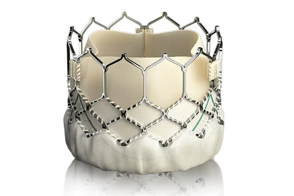 Understanding TAVR: A Minimally Invasive Heart Valve Procedure